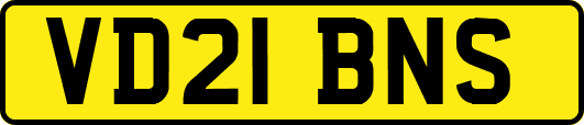 VD21BNS