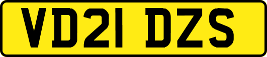 VD21DZS