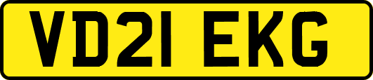 VD21EKG