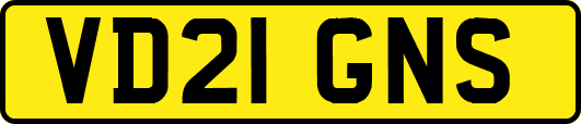 VD21GNS