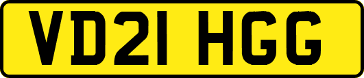 VD21HGG