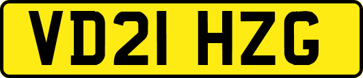 VD21HZG