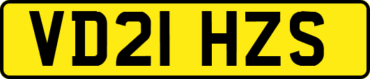 VD21HZS