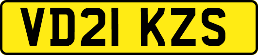 VD21KZS