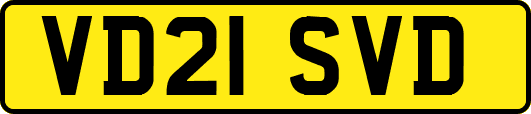 VD21SVD