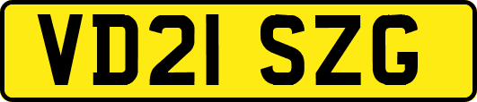 VD21SZG