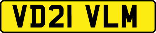 VD21VLM