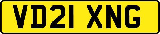 VD21XNG