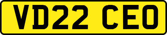 VD22CEO