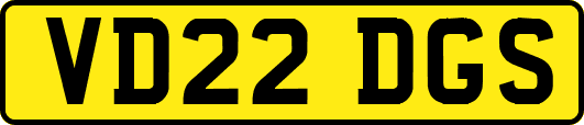 VD22DGS
