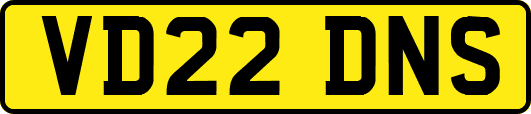VD22DNS
