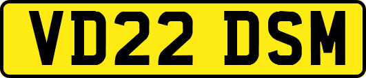 VD22DSM