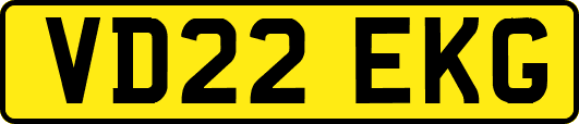 VD22EKG