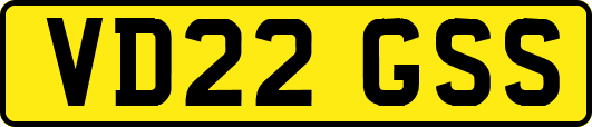 VD22GSS
