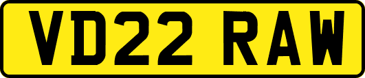 VD22RAW