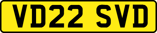 VD22SVD