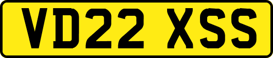 VD22XSS