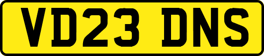 VD23DNS