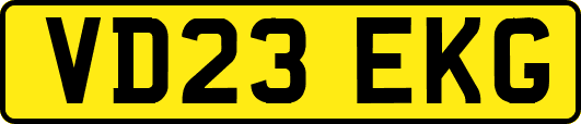 VD23EKG