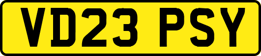 VD23PSY