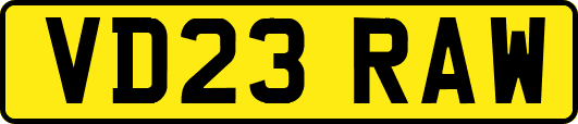 VD23RAW