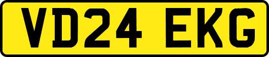 VD24EKG