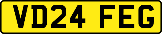 VD24FEG