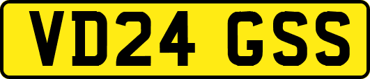 VD24GSS