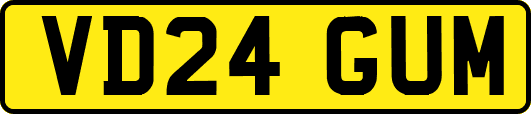 VD24GUM