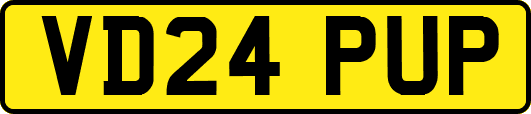 VD24PUP
