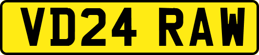 VD24RAW