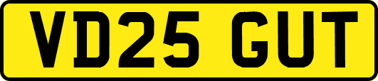 VD25GUT