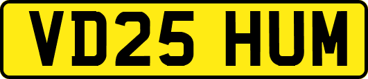 VD25HUM