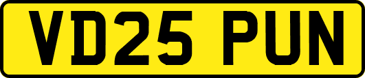 VD25PUN