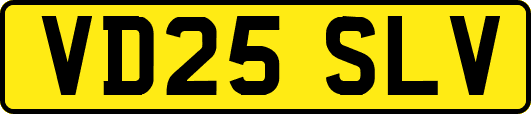VD25SLV