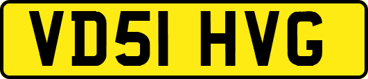 VD51HVG