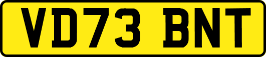 VD73BNT