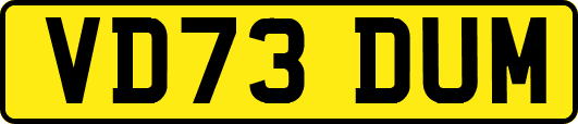 VD73DUM