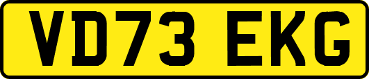 VD73EKG