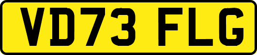 VD73FLG