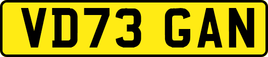 VD73GAN