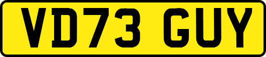 VD73GUY