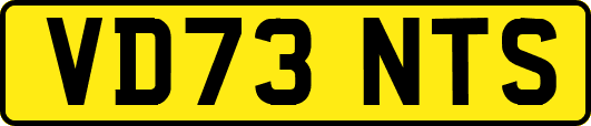 VD73NTS