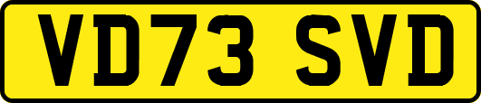 VD73SVD