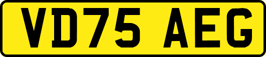 VD75AEG