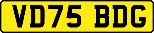 VD75BDG