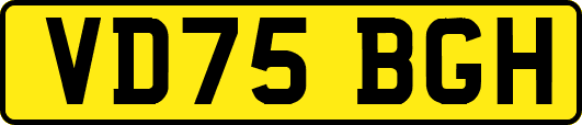 VD75BGH