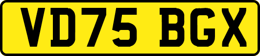 VD75BGX