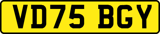 VD75BGY