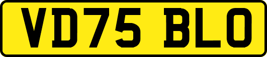 VD75BLO